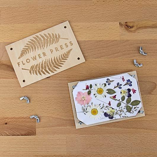 DIY Flower Press Kit - SpectrumStore SG