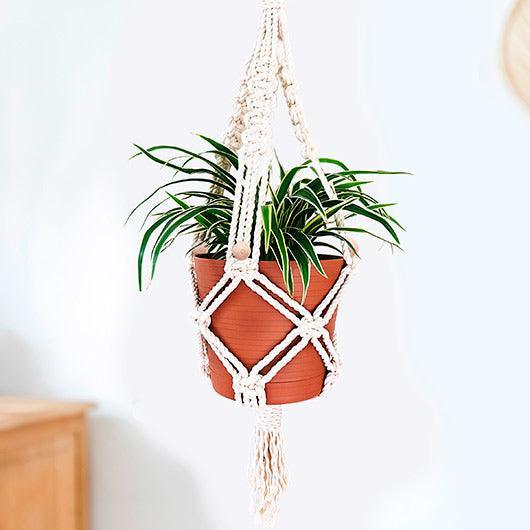 DIY Macrame Kit - SpectrumStore SG