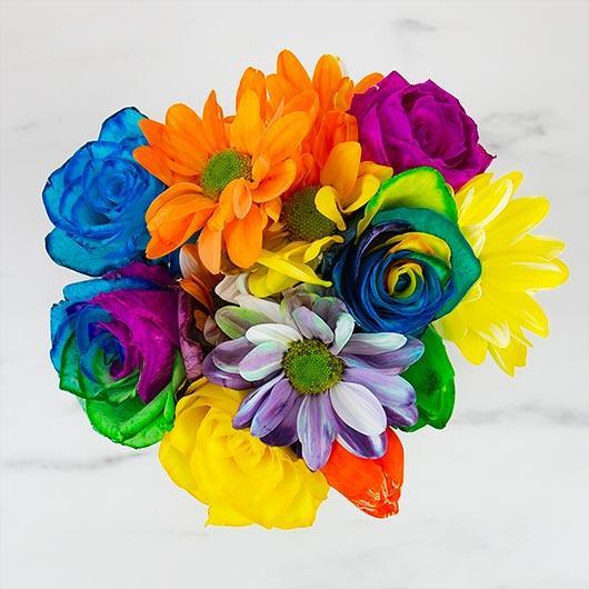 DIY Rainbow Flowers Kit - SpectrumStore SG