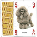 Dogs - SpectrumStore SG