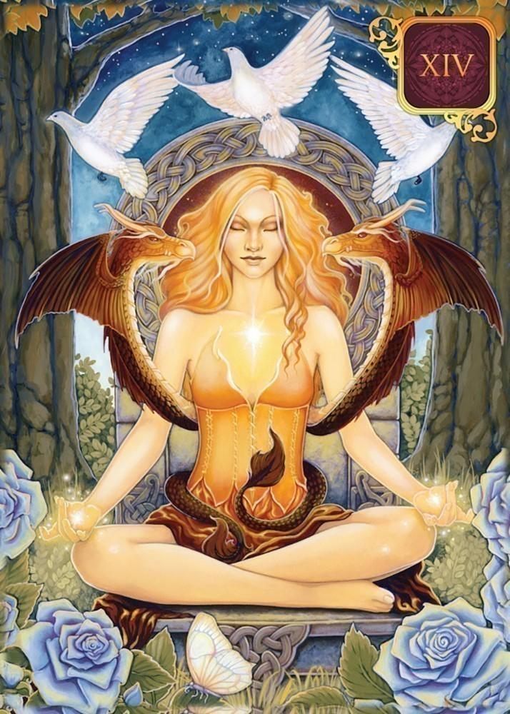 Dreams Of Gaia Tarot Pocket Edition - SpectrumStore SG