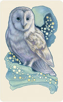 Dreamscape Oracle Deck - SpectrumStore SG