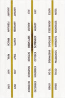 Essentials Monthly Planner Tabs - SpectrumStore SG