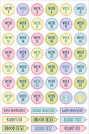 Essentials Planner Stickers - Pregnancy & Baby - SpectrumStore SG