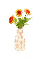 Expandable Flower Vase - Jaya - SpectrumStore SG