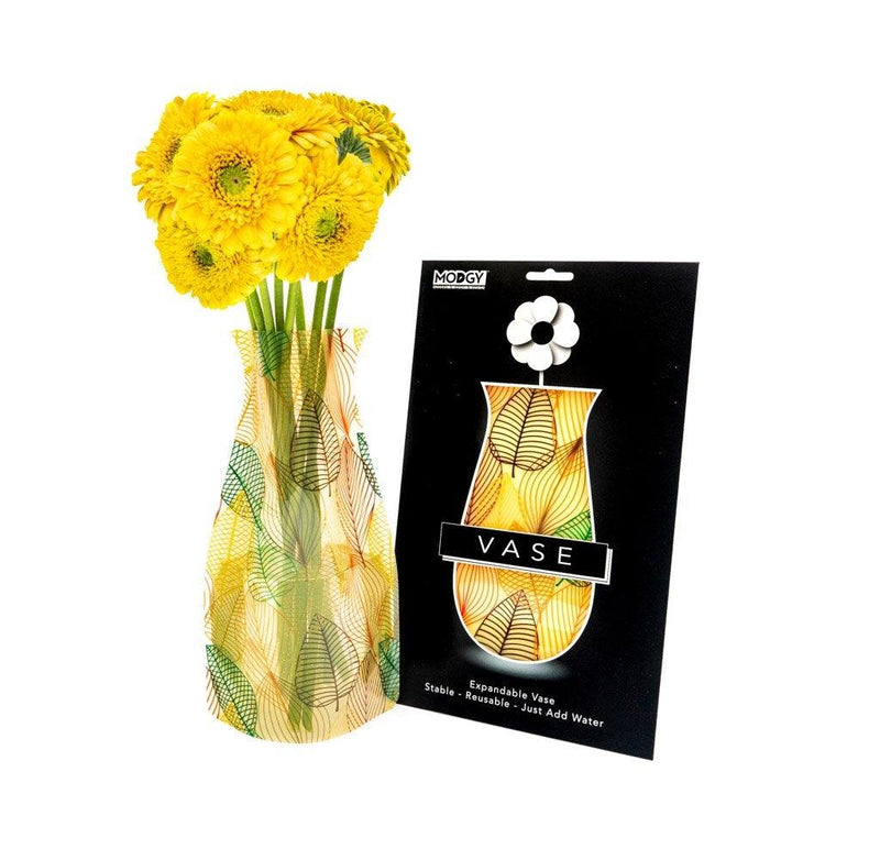 Expandable Flower Vase - Mardy - SpectrumStore SG