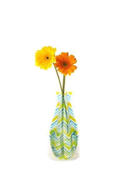 Expandable Flower Vase - Zig - SpectrumStore SG