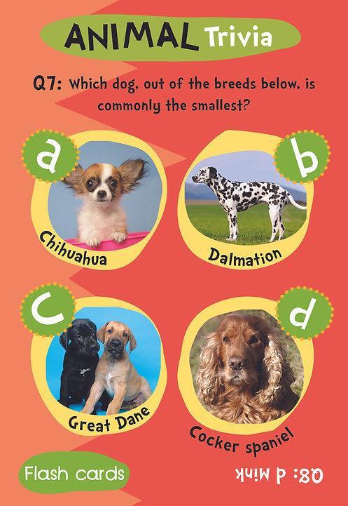 Flash Cards - Animal Trivia - SpectrumStore SG