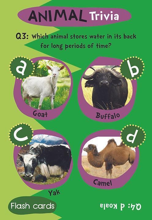 Flash Cards - Animal Trivia - SpectrumStore SG