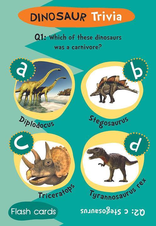 Flash Cards - Dinosaur Trivia - SpectrumStore SG