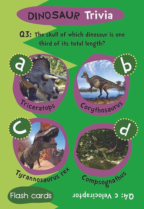 Flash Cards - Dinosaur Trivia - SpectrumStore SG