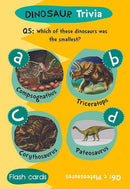Flash Cards - Dinosaur Trivia - SpectrumStore SG