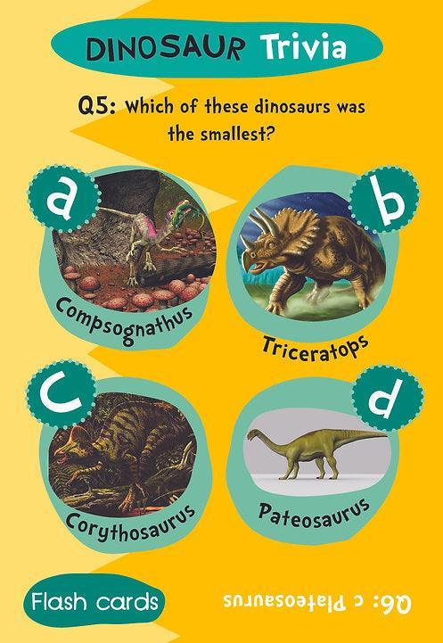 Flash Cards - Dinosaur Trivia - SpectrumStore SG