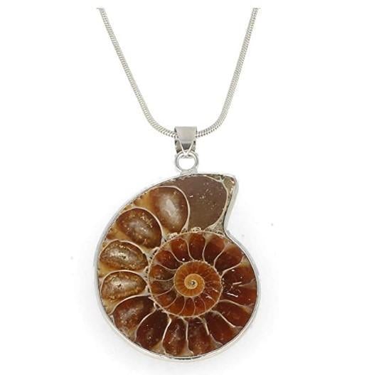 Fossil Ammonite Pendant In Gift Box - SpectrumStore SG