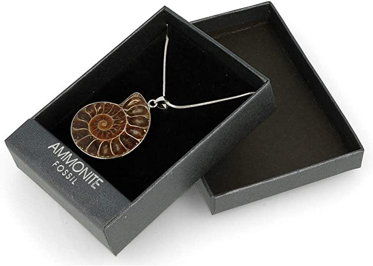 Fossil Ammonite Pendant In Gift Box - SpectrumStore SG