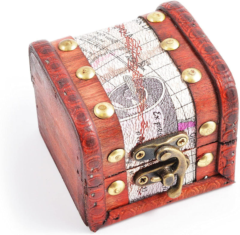 Fossils Treasure Chest - SpectrumStore SG