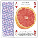 Fruits of the World - SpectrumStore SG