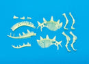 Glow-in-the-Dark Dinos Stegosaurus Skeleton - SpectrumStore SG