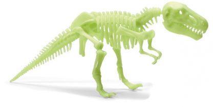 Glow-in-the-Dark Dinos T.rex Skeleton - SpectrumStore SG