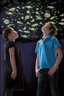 Glow Superstars - SpectrumStore SG