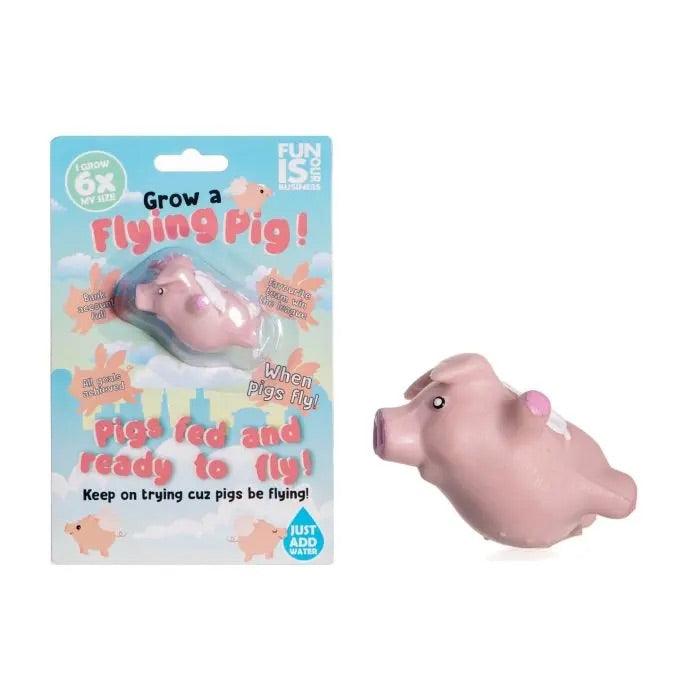 Grow Your Own Flying Pig - SpectrumStore SG