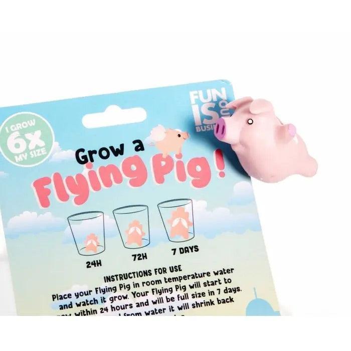 Grow Your Own Flying Pig - SpectrumStore SG