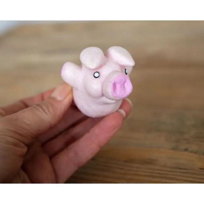 Grow Your Own Flying Pig - SpectrumStore SG