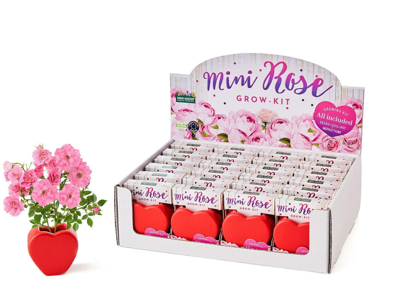 Grow Your Own Kits: Mini Rose Heart - SpectrumStore SG