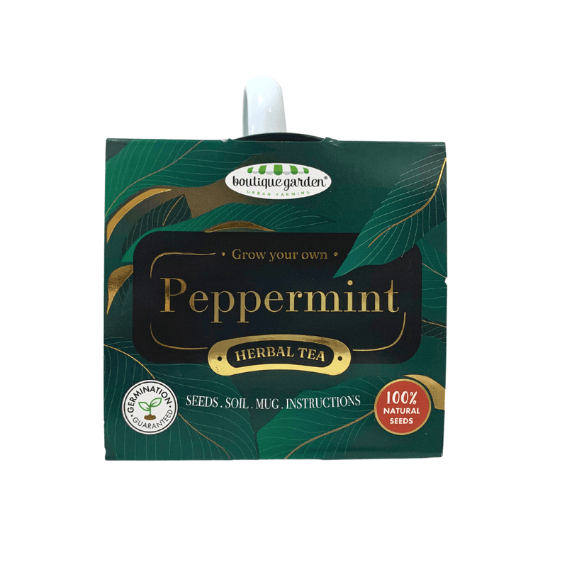 Grow Your Own Tea: Peppermint - SpectrumStore SG