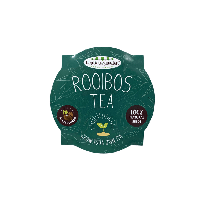 Grow Your Own: Tea Rooibos - SpectrumStore SG
