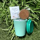 Grow Your Own: Tea Rooibos - SpectrumStore SG