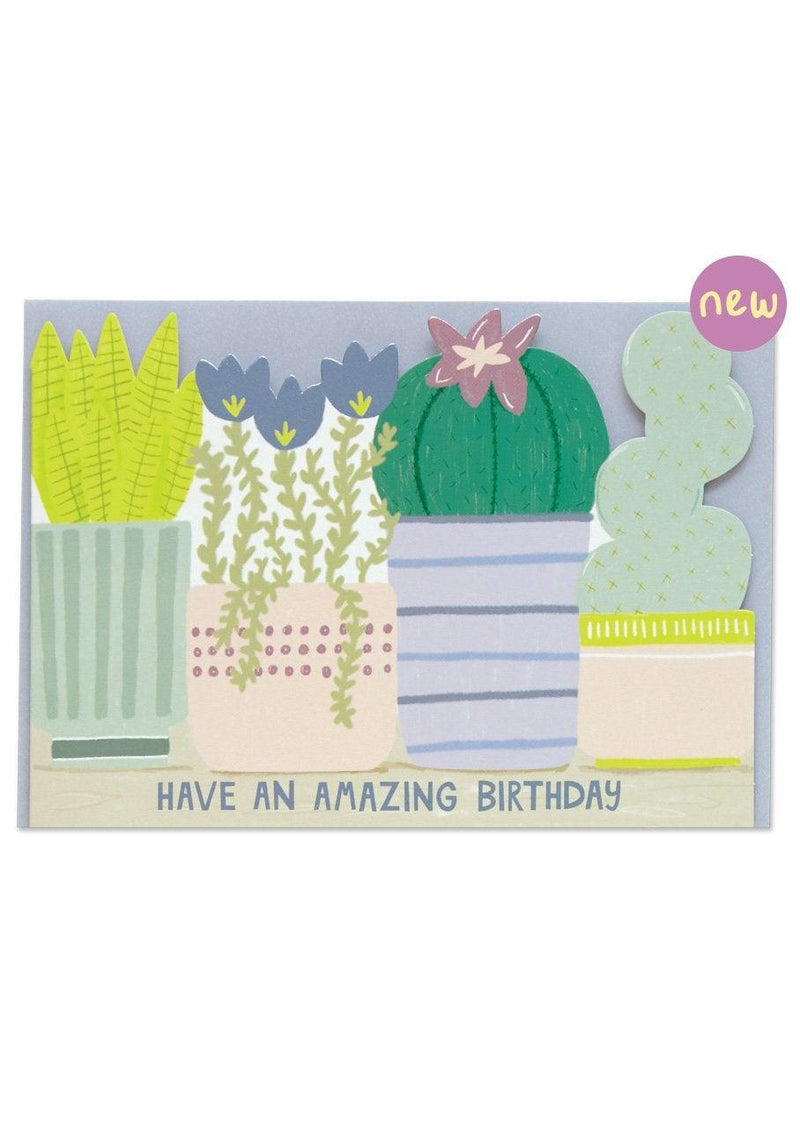 Have An Amazing Birthday Card - SpectrumStore SG