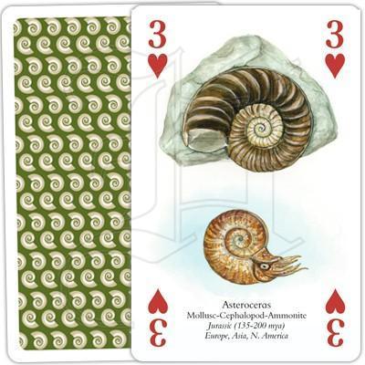 Heritage Playing Cards - The Famous Fossils - SpectrumStore SG