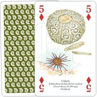 Heritage Playing Cards - The Famous Fossils - SpectrumStore SG