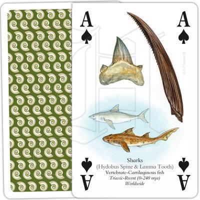 Heritage Playing Cards - The Famous Fossils - SpectrumStore SG