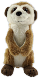 Hug A Meerkat Kit - SpectrumStore SG