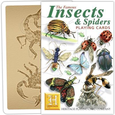 Insects & Spiders - SpectrumStore SG