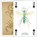 Insects & Spiders - SpectrumStore SG