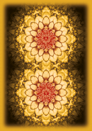 Karma Angels Oracles - SpectrumStore SG