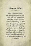 Kuan Yin Oracle Cards - Pocket Edition - SpectrumStore SG