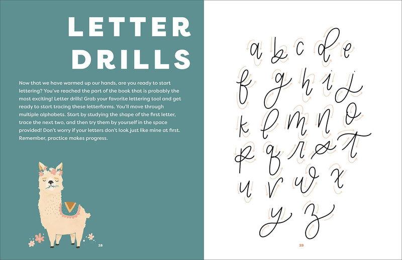 Learn to Letter with Luna the Llama - SpectrumStore SG