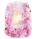 Luminary Lanterns - Hana - SpectrumStore SG