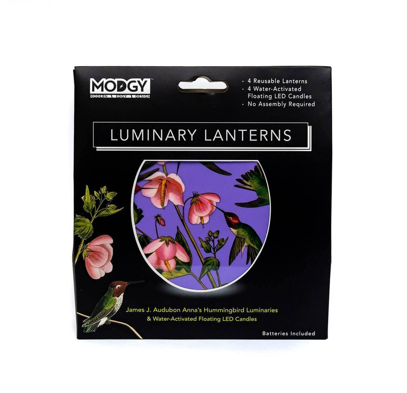 Luminary Lanterns - James J. Audubon Anna's Hummingbird - SpectrumStore SG