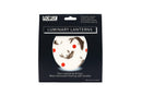 Luminary Lanterns - Koiz - SpectrumStore SG