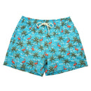 Men's Swim Trunks: Flock Star - SpectrumStore SG