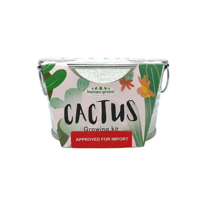 Mini Zinc Basin: Cactus - SpectrumStore SG