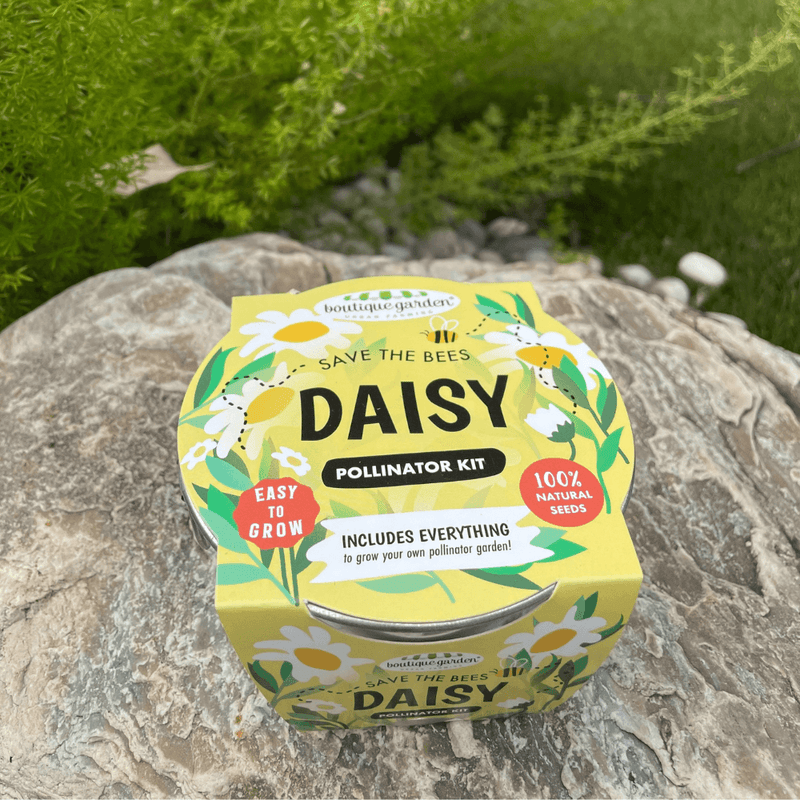 Mini Zinc Basin - Daisy - SpectrumStore SG
