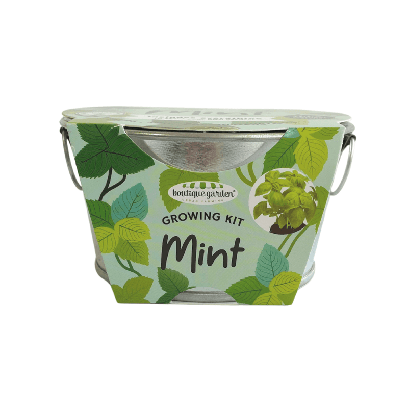 Mini Zinc Basin - Mint - SpectrumStore SG