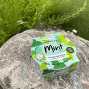 Mini Zinc Basin - Mint - SpectrumStore SG