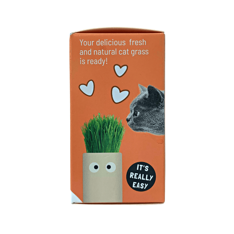 Mr.Cat - Grow Cat Grass - SpectrumStore SG